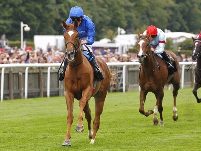 Desert Flower And Camille Pissarro Set To Bloom On St Leger ... Image 1