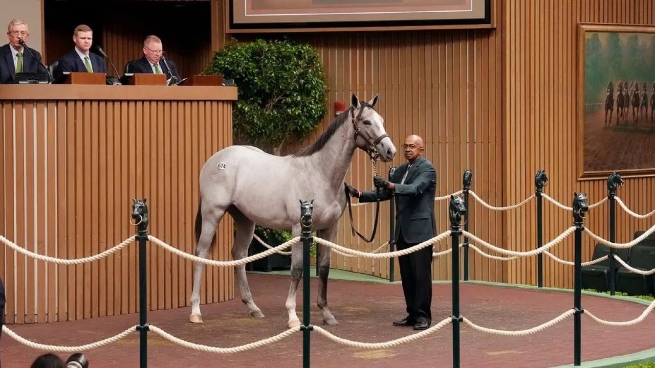 Tapit Colt And Gun Runner Filly Lead Strong Third Day At ... Image 1