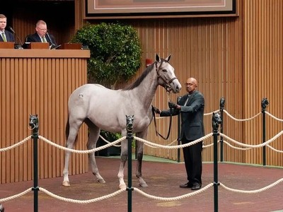 Tapit Colt And Gun Runner Filly Lead Strong Third Day At ... Image 1