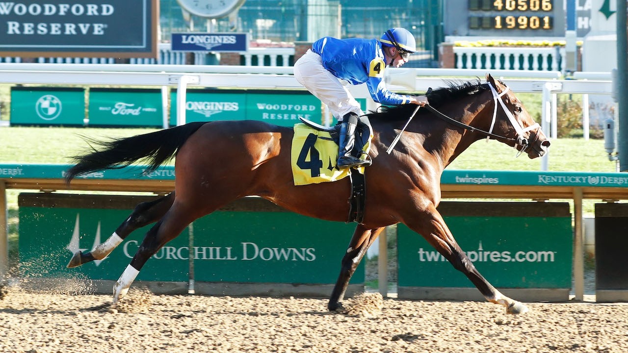 Gun Runner Offspring Shine At Keeneland September Sale- Day ... Image 1