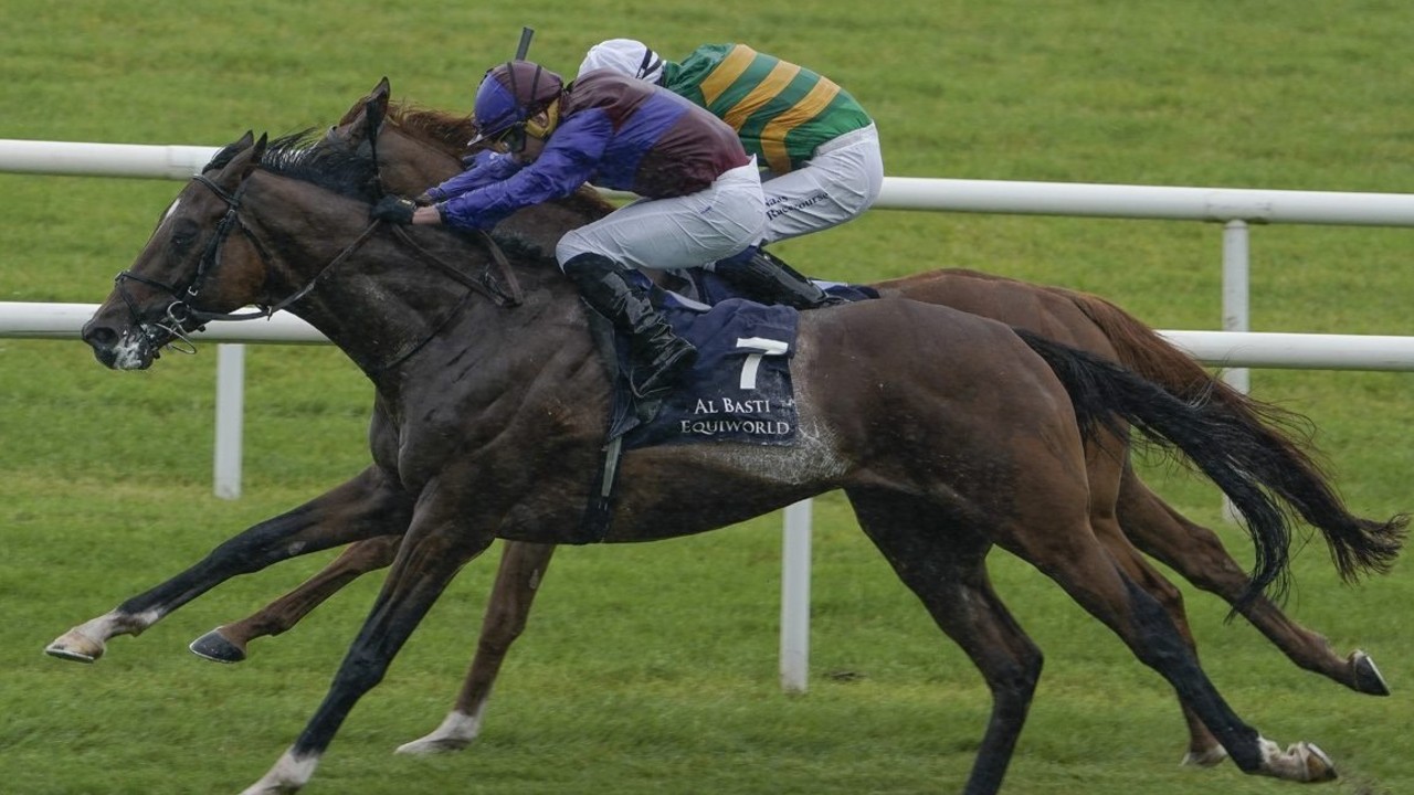 Jan Brueghel Triumphs In O'Brien's Eighth St Leger Image 1