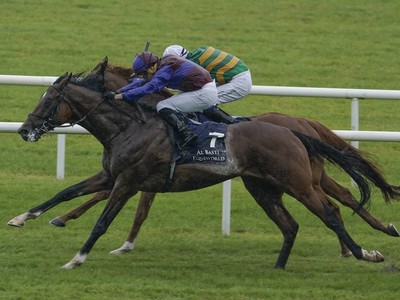 Jan Brueghel Triumphs In O'Brien's Eighth St Leger Image 1