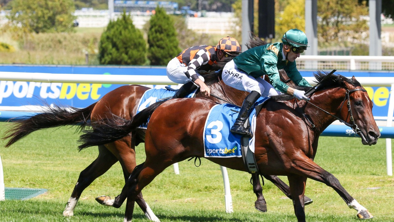 Bodyguard Shines In Rosehill Trial As Harron's Everest ... Image 1