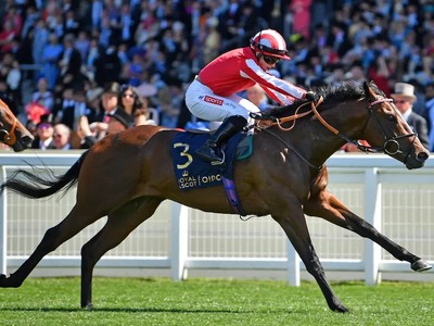 Bradsell Cements Sprinting Supremacy With Flying Five ... Image 1