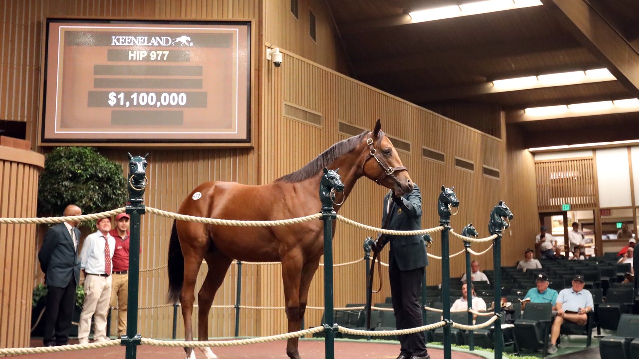 Keeneland September Yearling Sale Continues To Soar Image 1