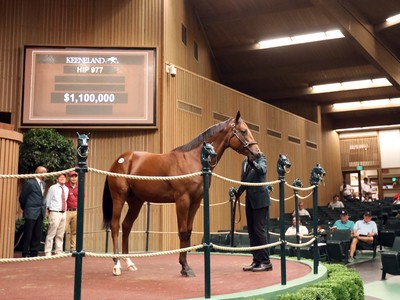 Keeneland September Yearling Sale Continues To Soar Image 1