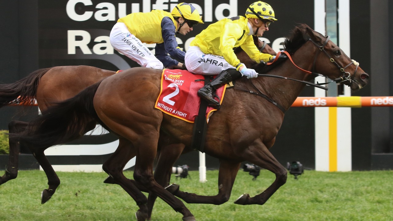 Without A Fight Faces Weighty Challenge In Melbourne Cup ... Image 1