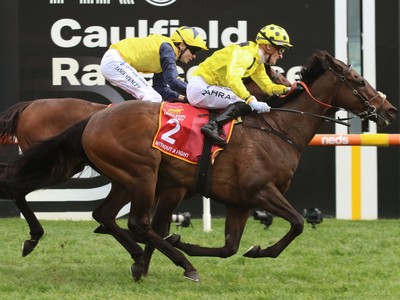 Without A Fight Faces Weighty Challenge In Melbourne Cup ... Image 1