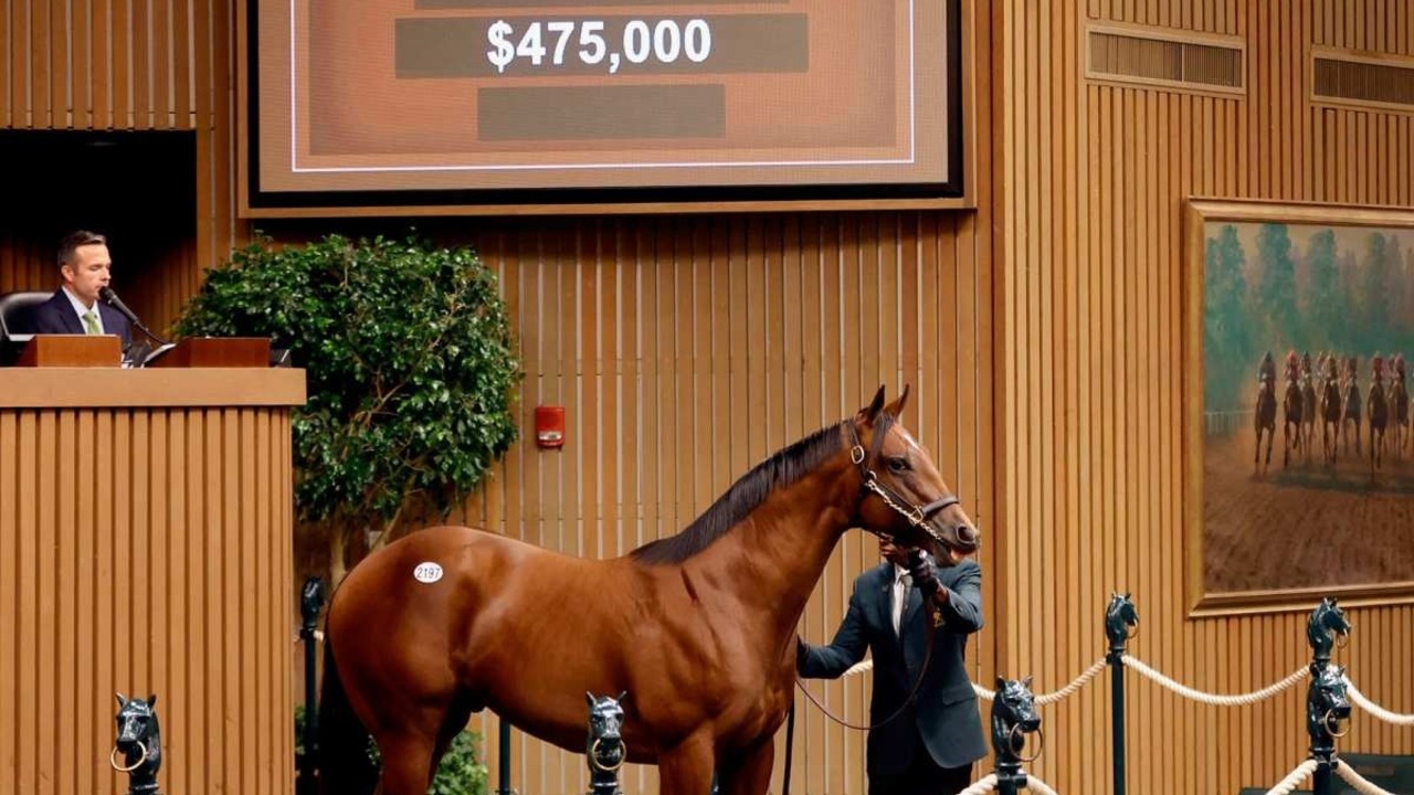 McKinzie Colt Tops Keeneland Sale At $475,000 Image 1