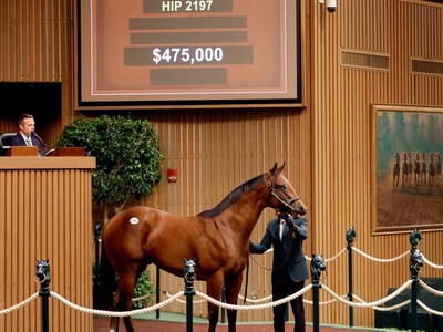 McKinzie Colt Tops Keeneland Sale At $475,000 Image 1