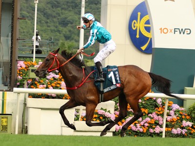 Romantic Warrior Eyes Middle Eastern Glory After Hong Kong ... Image 1