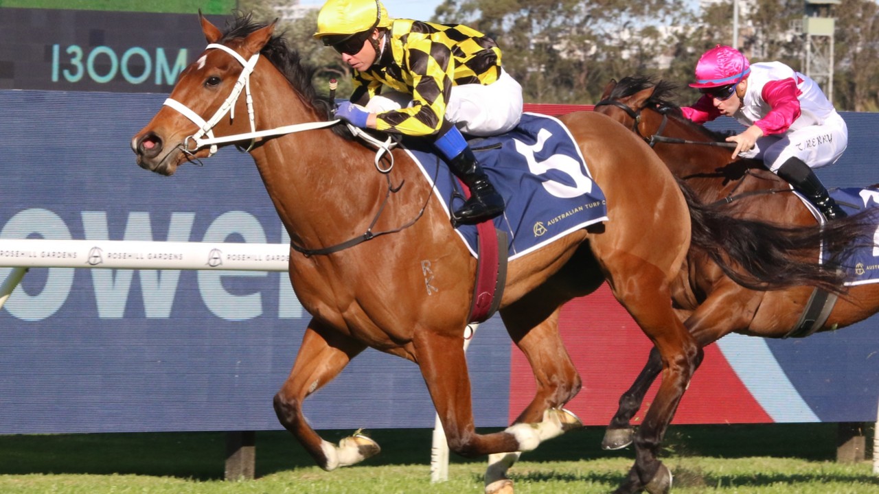 Ten to Watch: Sydney's Everest Carnival Contenders Unveiled Image 1