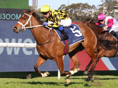 Ten to Watch: Sydney's Everest Carnival Contenders Unveiled Image 1