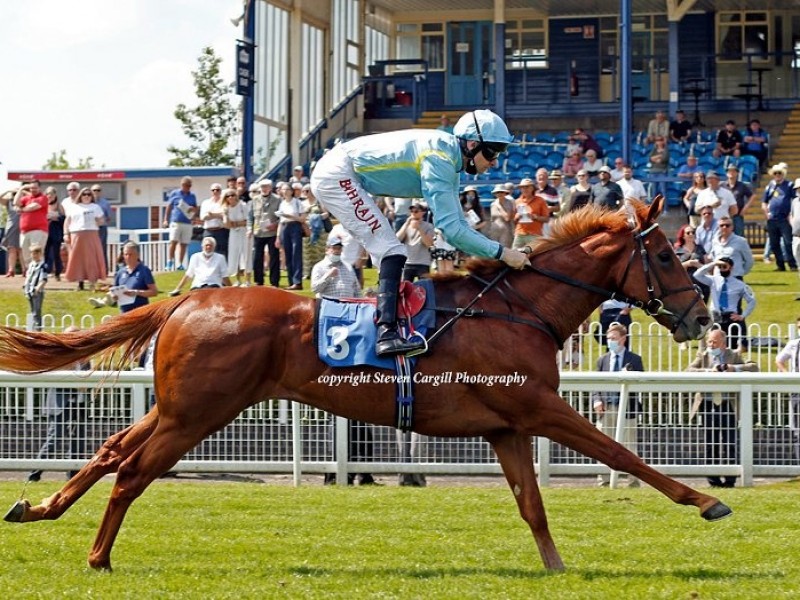 Preview : Gr.2 Coventry Stakes 2021 (Preview, 2021 Full ... Image 3