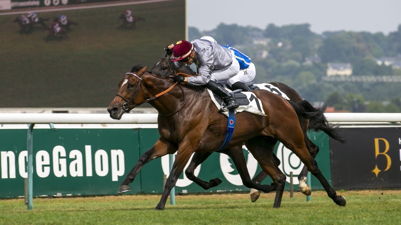 Arc Hero Al Hakeem Bows Out Image 1