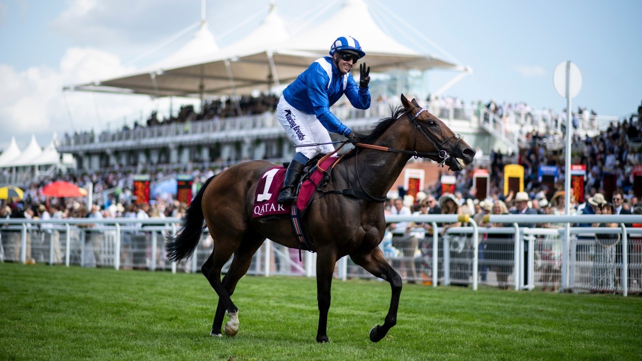 Preview : Gr.1 King's Stand Stakes 2021 (Preview, 2021 Full ... Image 1