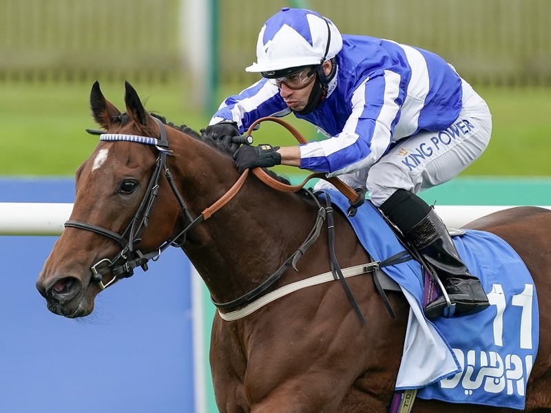 Preview : Gr.1 King's Stand Stakes 2021 (Preview, 2021 Full ... Image 2