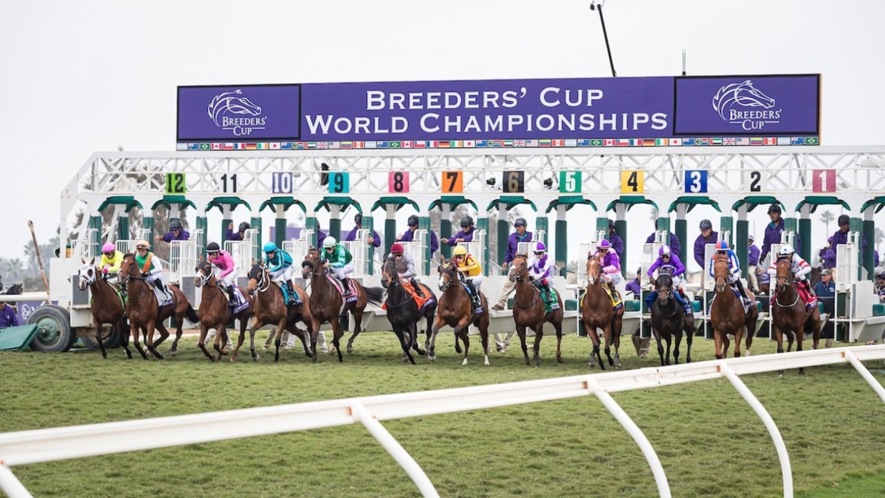 Breeders' Cup Contenders: Classic Conundrums and Juvenile ... Image 1