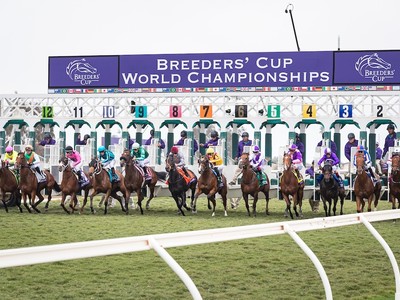 Breeders' Cup Contenders: Classic Conundrums and Juvenile ... Image 1