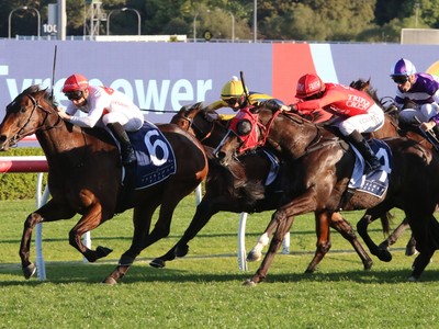 I Am Me Stakes Claim For Everest Glory with Gutsy Shorts ... Image 1