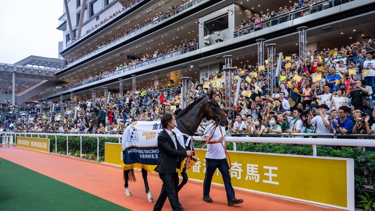 Golden Sixty Bows Out In Style At Sha Tin Wend-off Image 1