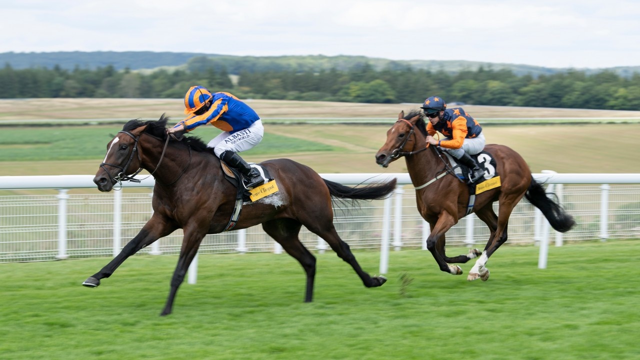 Preview : St James's Palace Stakes 2021 (Preview, 2021 Full ... Image 2