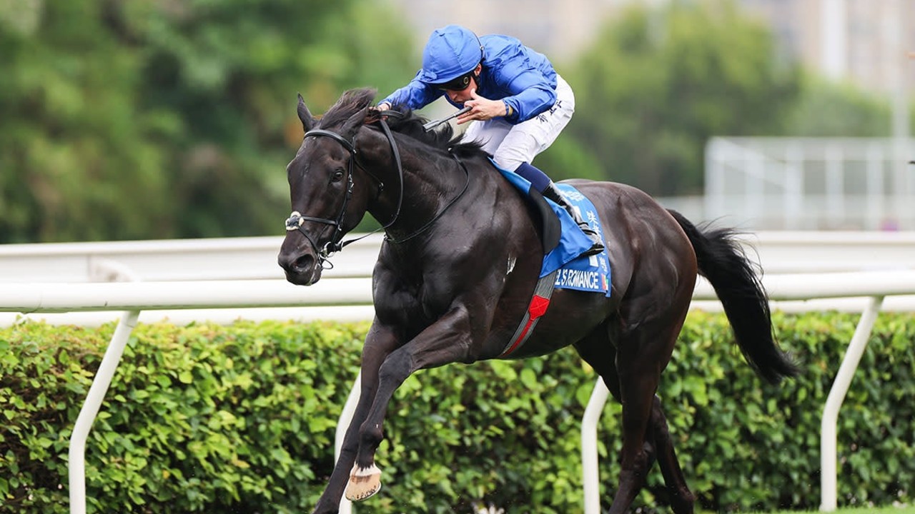 Rebel's Romance Triumphs In Germany, Eyes Breeders' Cup ... Image 1