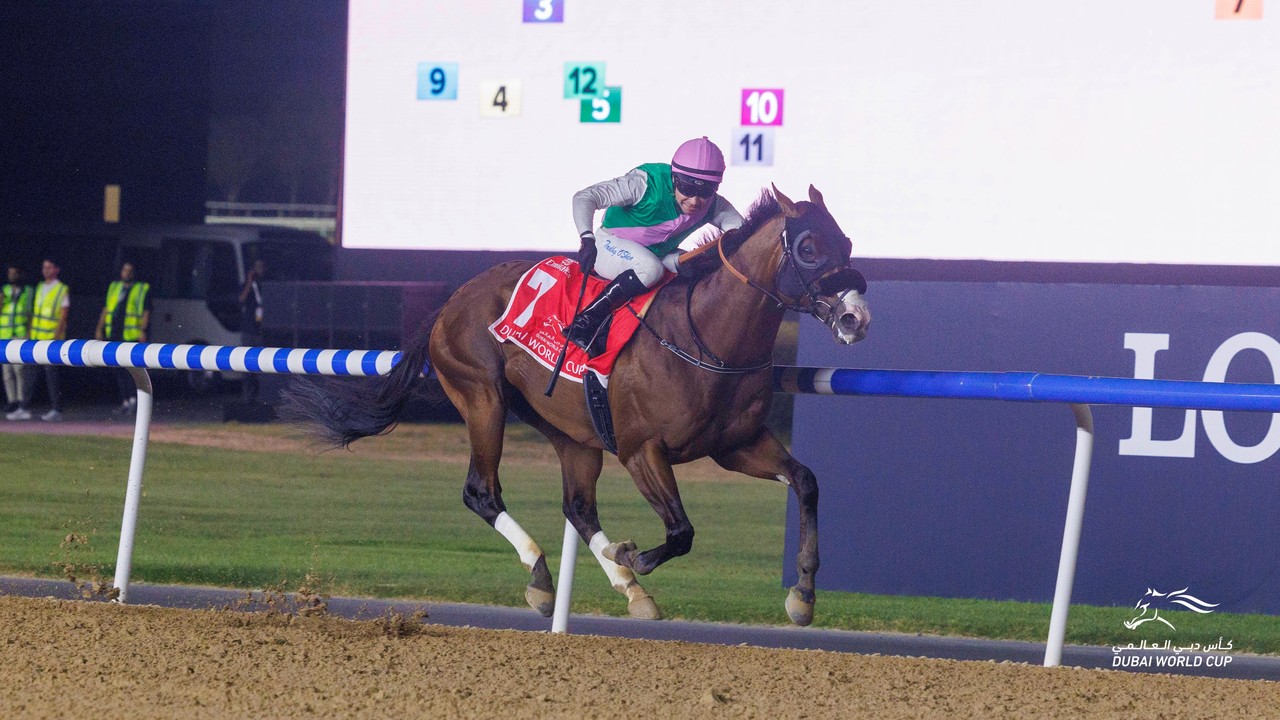 Seemar Sets Sights On Saudi Cup With World Cup Hero Laurel ... Image 1