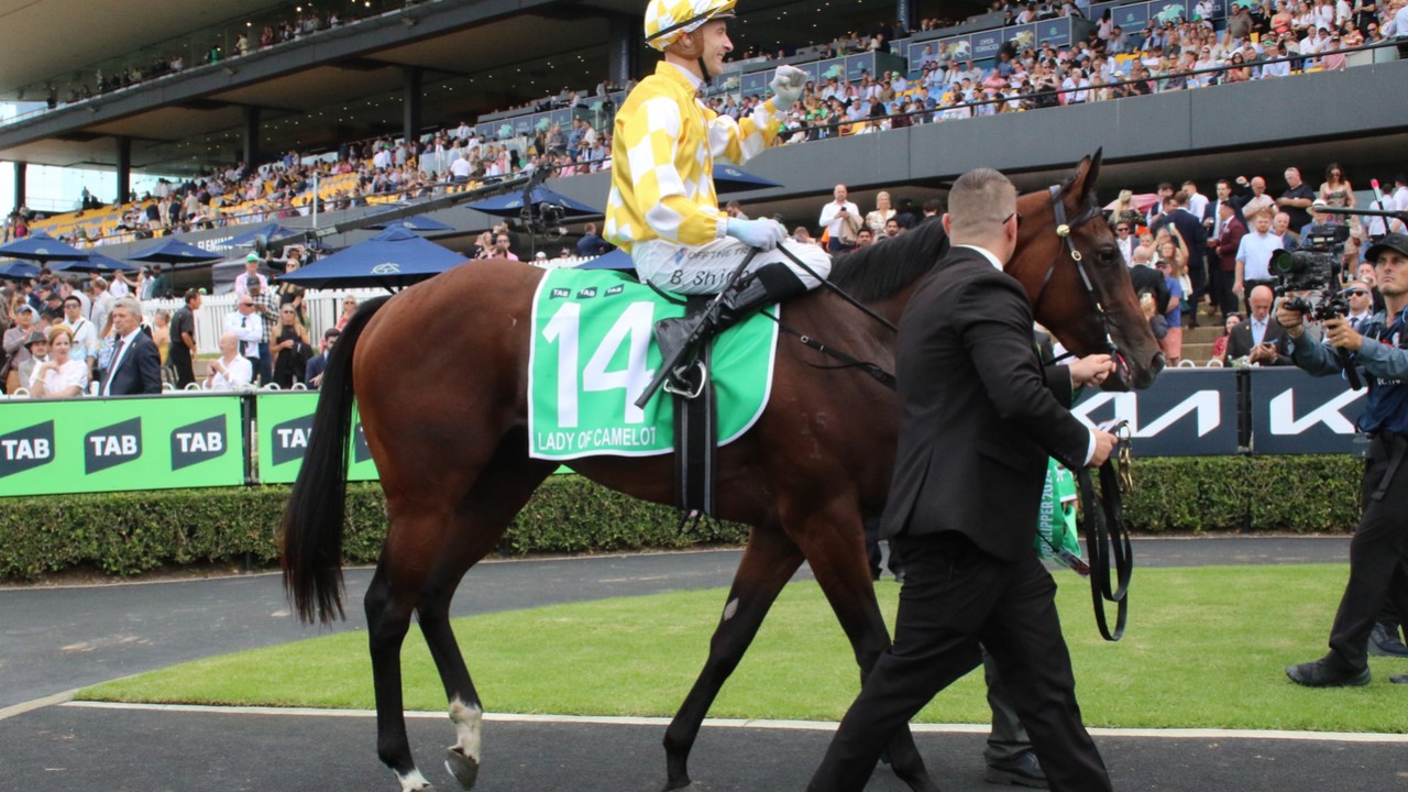 Lady Of Camelot: From Golden Slipper To The Everest Image 1