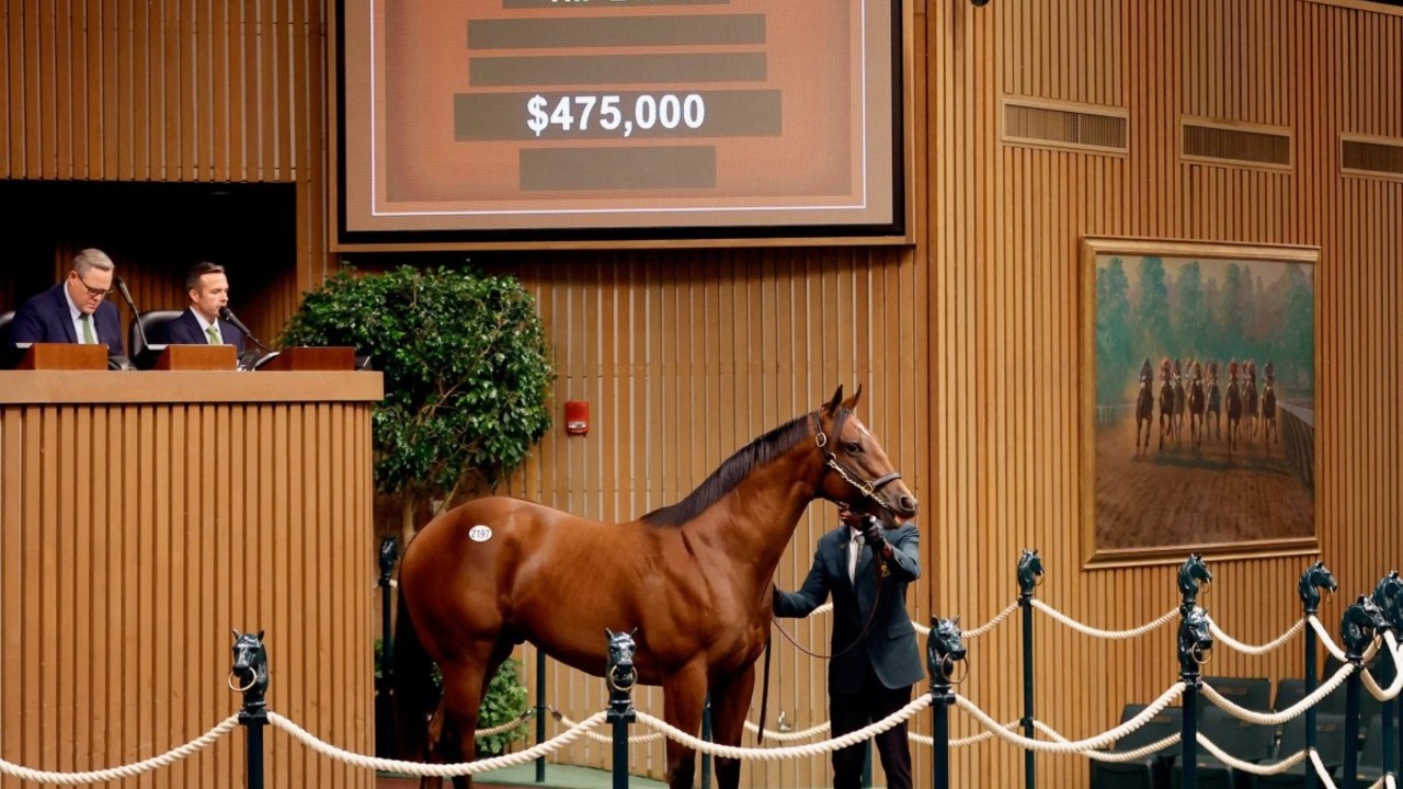 Keeneland Gearing Up For Blockbuster September Sale Image 1