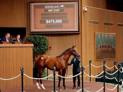 Keeneland Gearing Up For Blockbuster September Sale Image 1