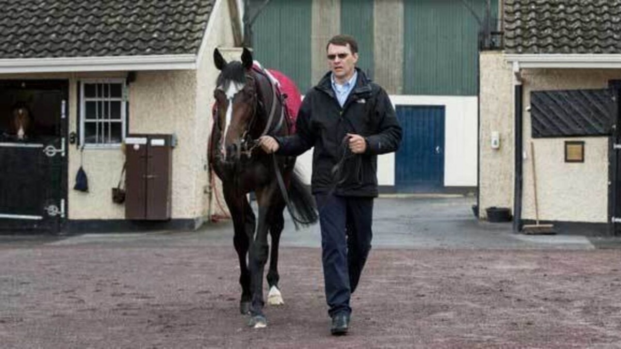 O'Brien Aims Jan Brueghel At Melbourne Cup Image 1