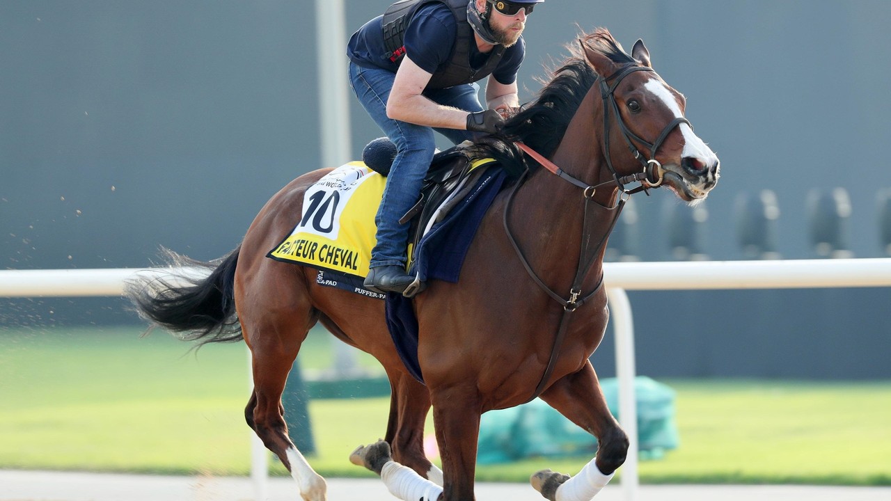 Cheval's Autumn Dilemma: Ascot Or Del Mar? Image 1