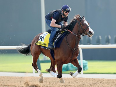 Cheval's Autumn Dilemma: Ascot Or Del Mar? Image 1