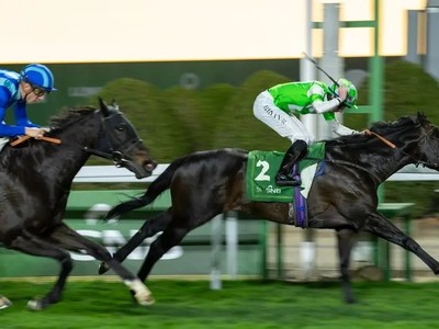 Annaf Poised For Champions Day Showdown Image 1