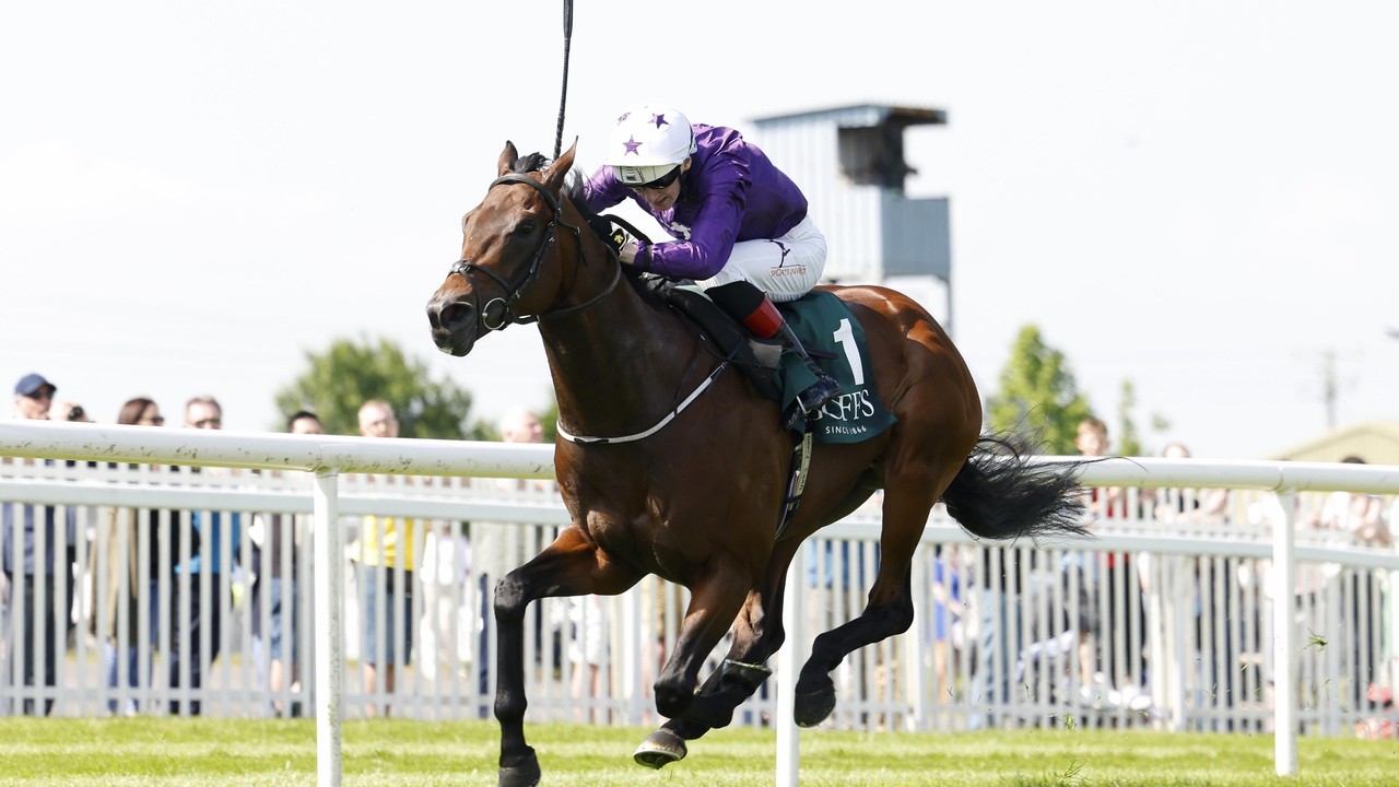 Bucanero Fuerte Primed For Ascot Challenge Image 1