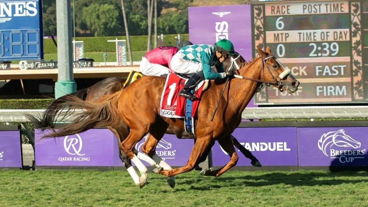 Berry And Goldikova Galloping Into Hall Of Fame Image 1