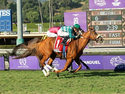 Berry And Goldikova Galloping Into Hall Of Fame Image 1