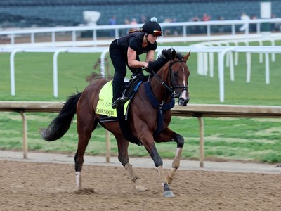 Breeders' Cup Classic Beckons For Retiring Star Dornoch Image 1