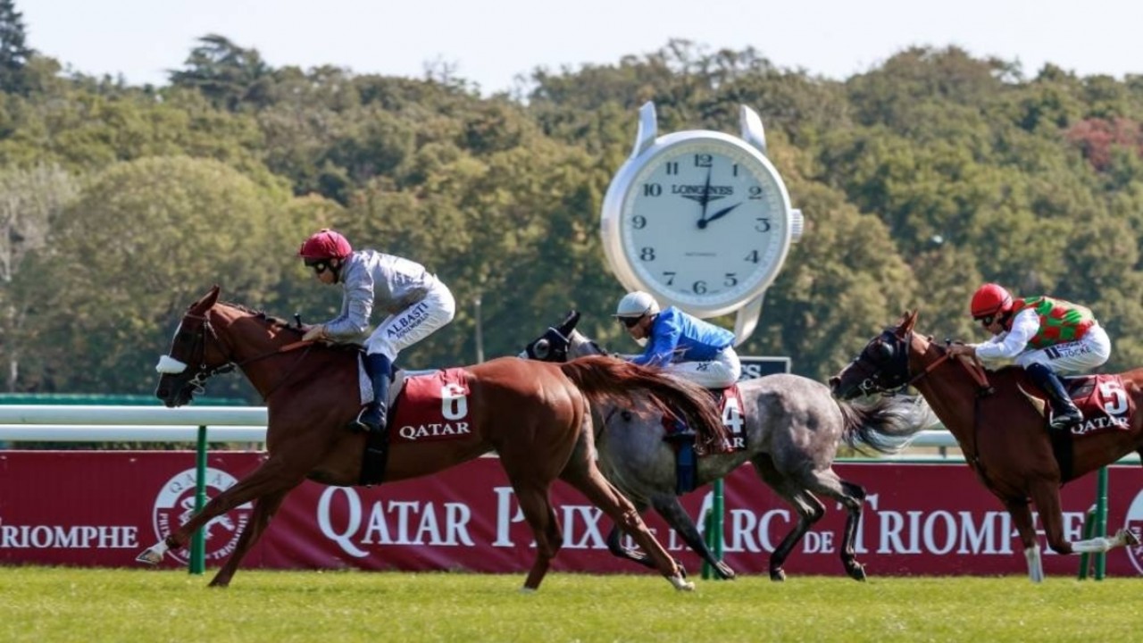 Qatar Takes Centre Stage As Arc Weekend Approaches Image 1