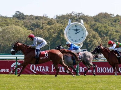 Qatar Takes Centre Stage As Arc Weekend Approaches Image 1