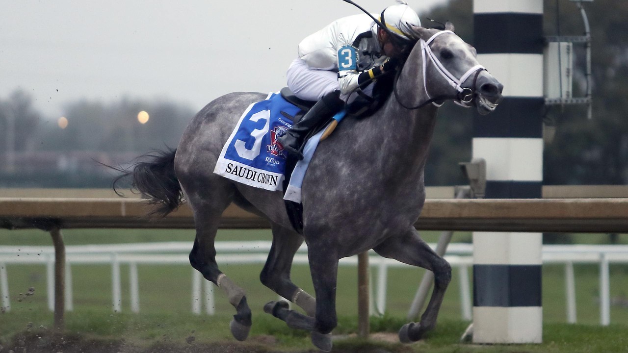 Breeders' Cup Contenders Face Final Hurdles Image 1