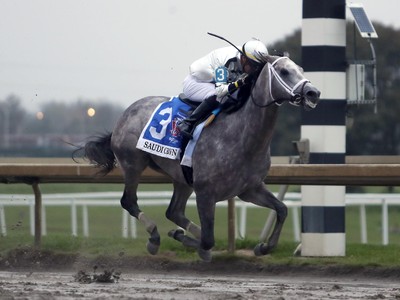 Breeders' Cup Contenders Face Final Hurdles Image 1