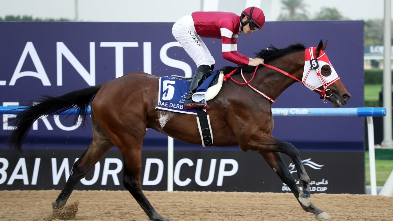 Forever Young Eyes Breeders' Cup Glory Image 1