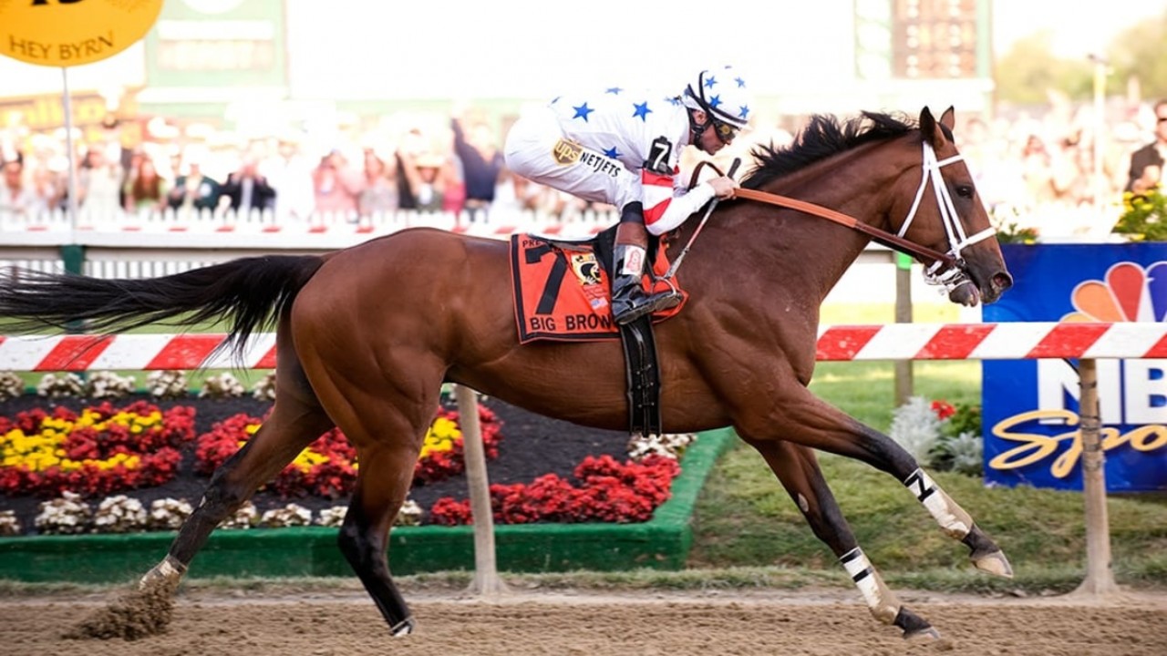 Big Brown Gallops Into Retirement At Old Friends Image 1