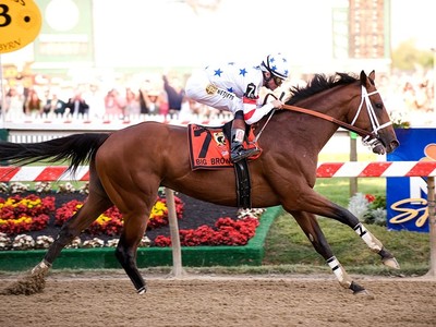 Big Brown Gallops Into Retirement At Old Friends Image 1