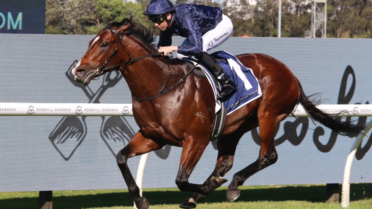 Storm Boy Primed For Everest Tilt, Says Waterhouse Image 1