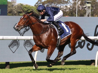 Storm Boy Primed For Everest Tilt, Says Waterhouse Image 1