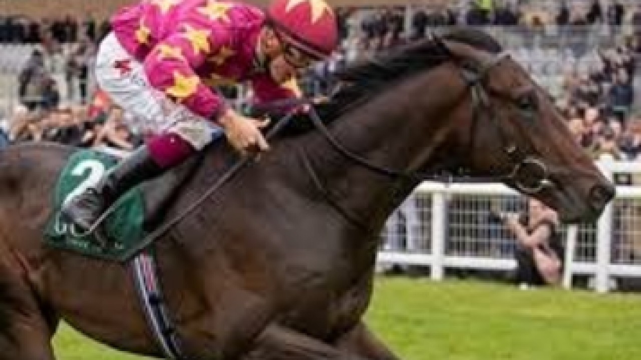 The Arc: Clash Of The O'Briens Image 1