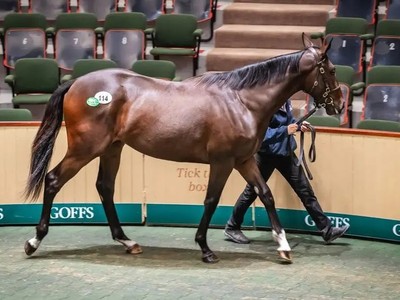 Middle East Delighted At Orby Offerings Image 1